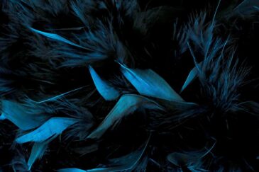 Plexiglas artwork feathers