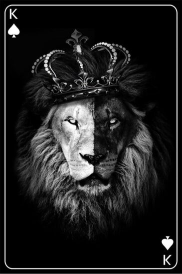 kings of lion