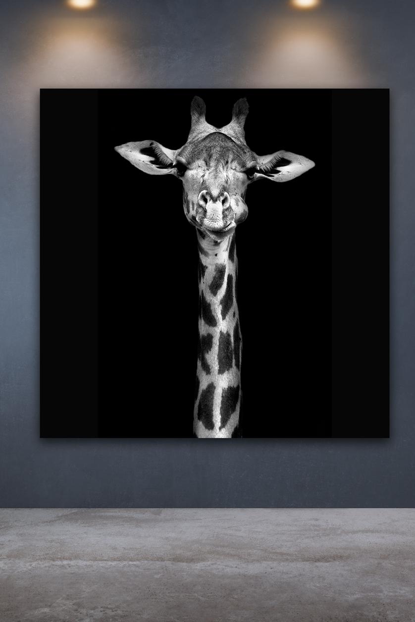 giraffes-tail-mockup-square