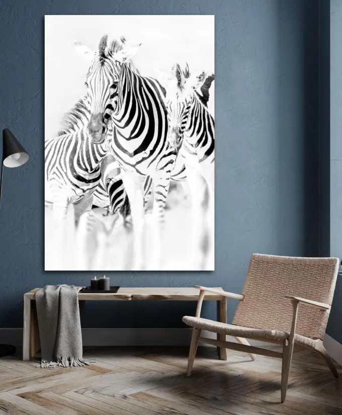 Plexiglas schilderij zwart wit zebra