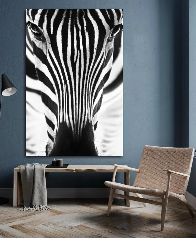 Plexiglas painting black and white zebra