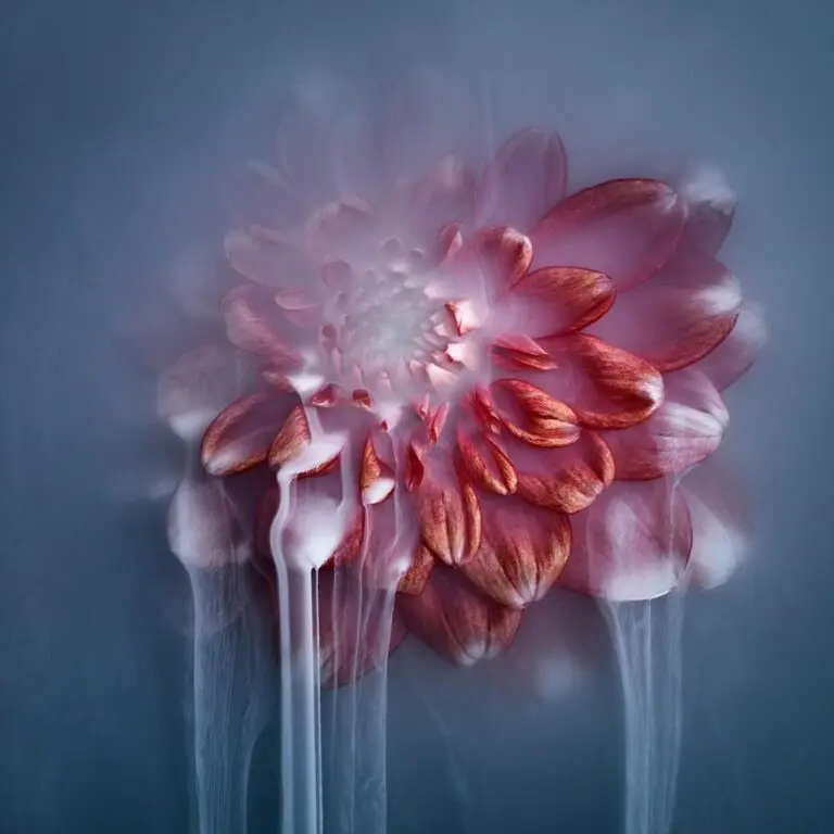 Plexiglas art bloemen