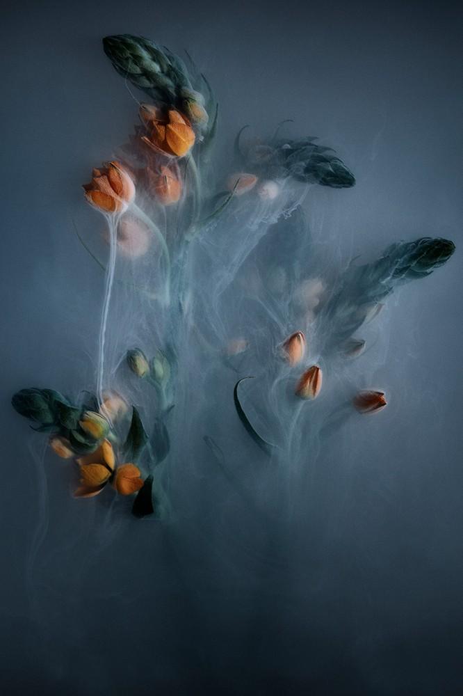 Photo art on plexiglass flowers