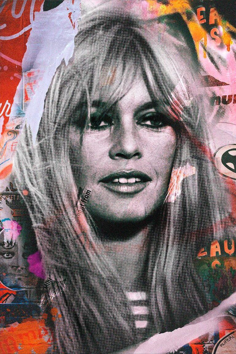Plexiglas photo art Brigitte Bardot, The Bardot II
