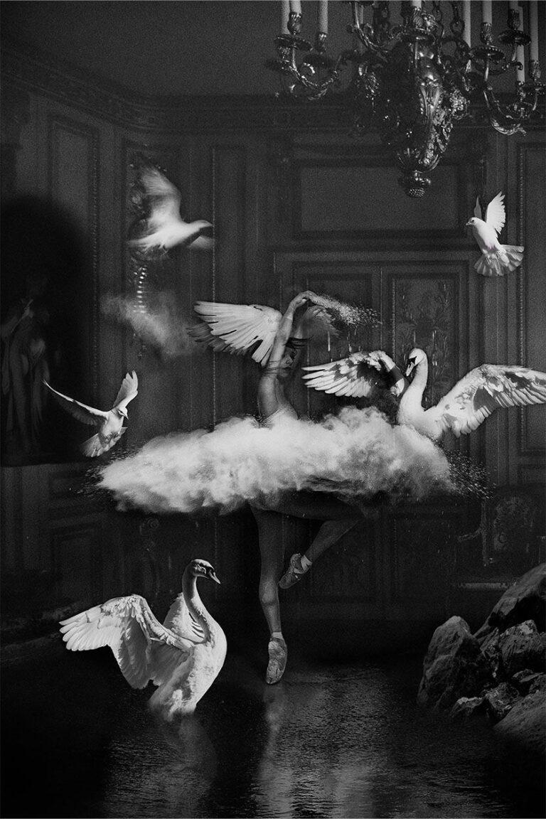 Künstlerisches Schwarz-Weiß-Kunstwerk der Ballerina, Plexiglas