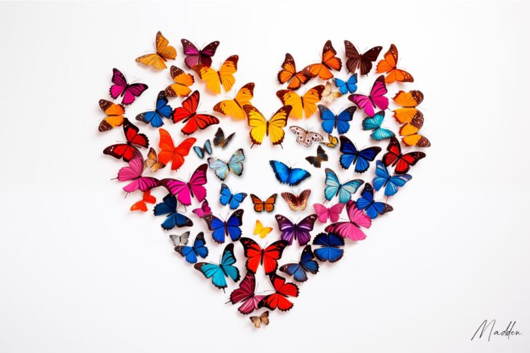 Plexiglas-Fotokunst-Schmetterlinge