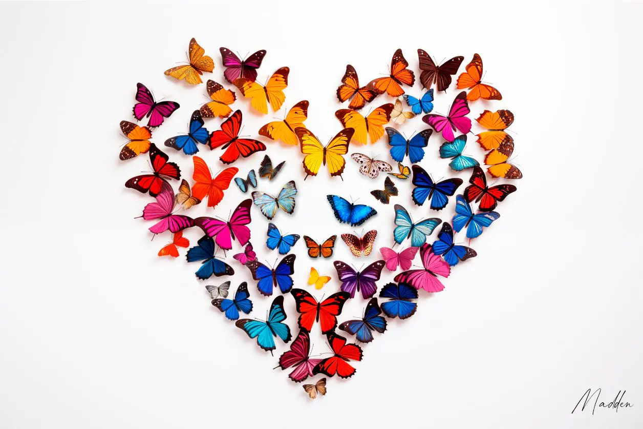 Plexiglass photo art butterflies